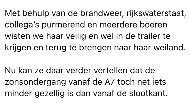 weiland