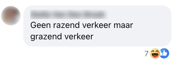 grazend verkeer op snelweg