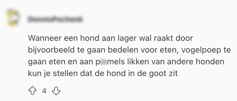 hond in de goot