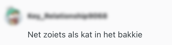 kat in t bakkie