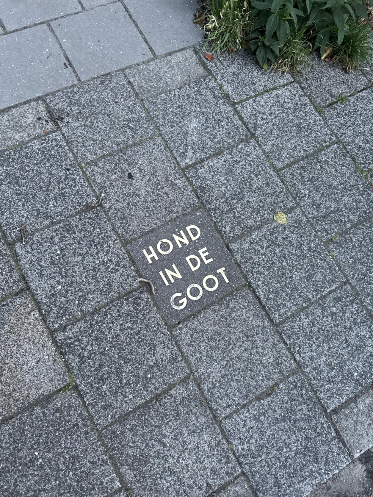 foto stoeptegel
