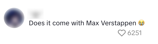 max verstappen f1