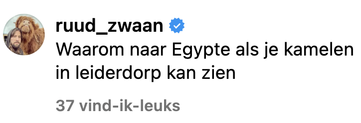 kamelen