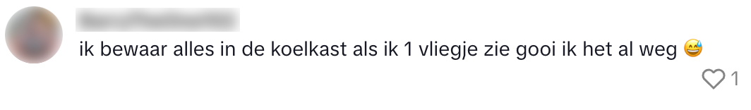 vliegje