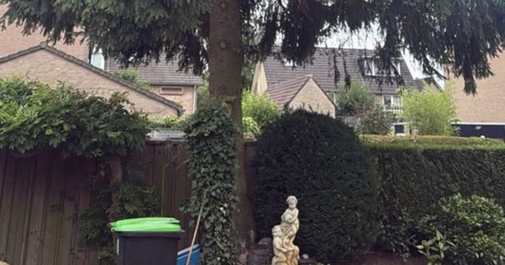 gratis afhalen boom facebook bewoner tuin