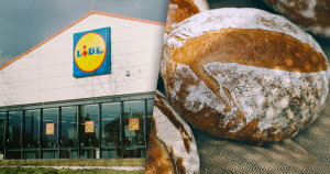 brood zonder