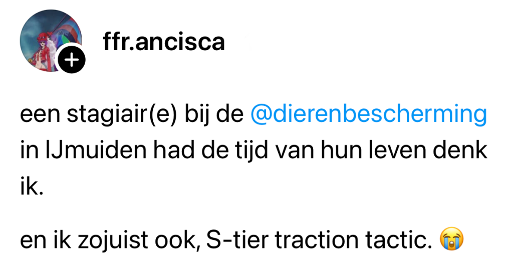 dierenbescherming konijnen