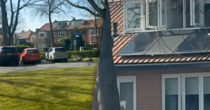 dweilzonder