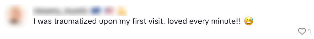 nederlanders pretpark expat