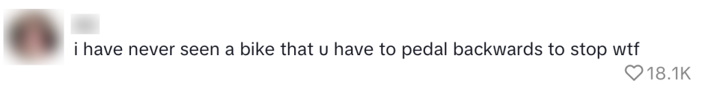 fiets expat brits nederlands