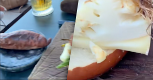 uitgelicht