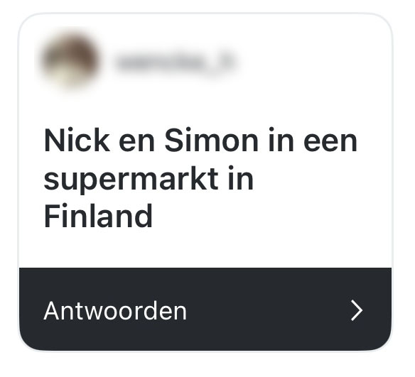 nick en simon