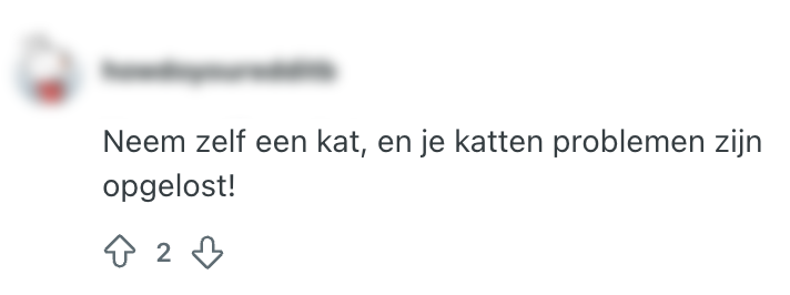 nieuwe kat