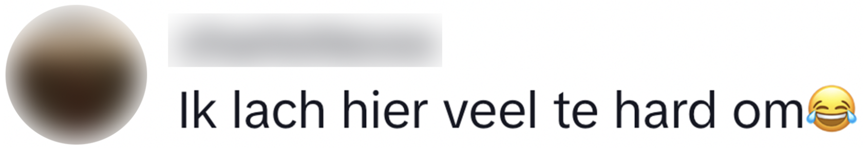 toerist