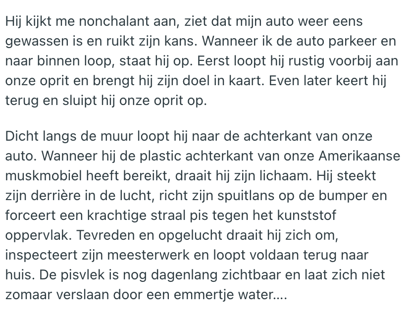 verhaal over kat