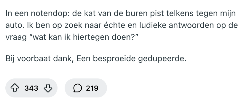 advies buurkat