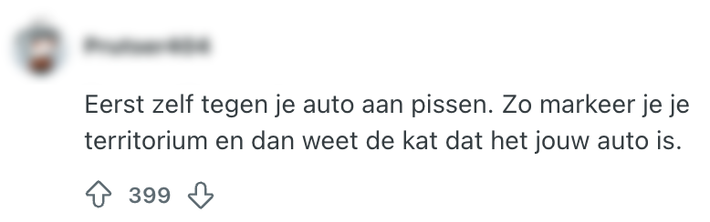 auto plassen