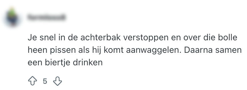 achterbak