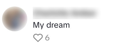 voertuig droom