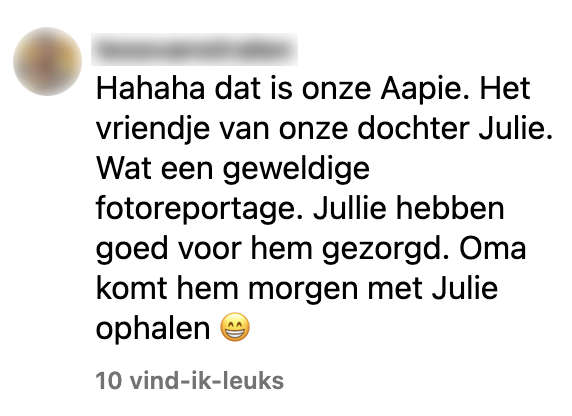 knuffel