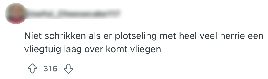 laag vliegen