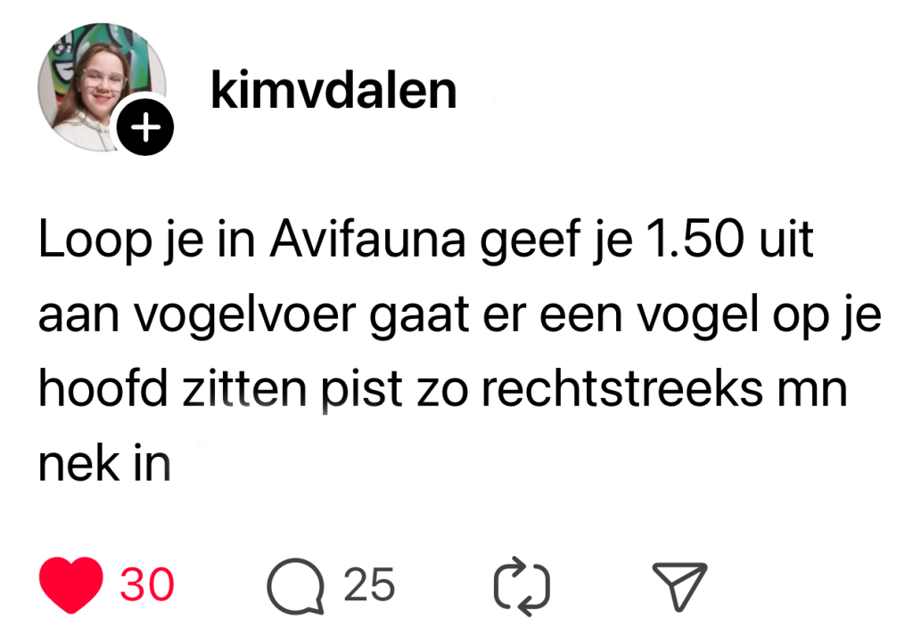 avifauna vogel bezoeker