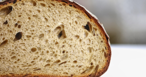 broodzonder