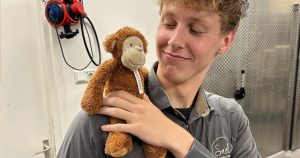 knuffel zonder