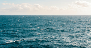 poep header 1