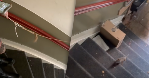 ratzonder