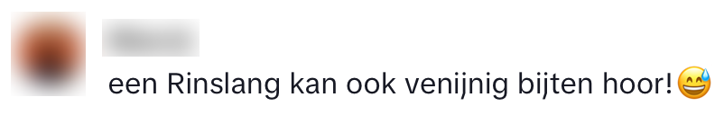 vakantiegangers slang