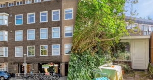 B2 - 08092025 - Gang Ams - HEADER 2