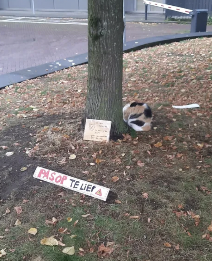 briefje