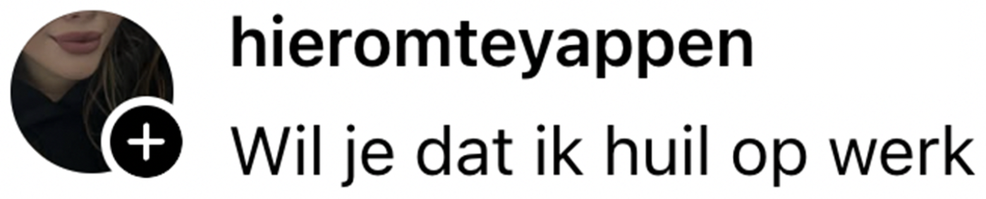 bericht