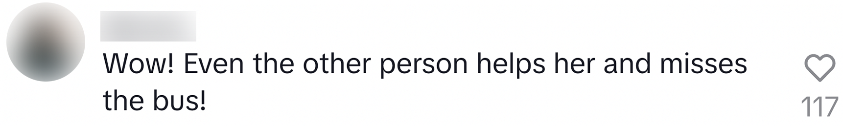 buschauffeur