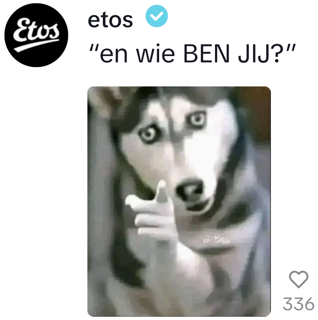 staat perplex
