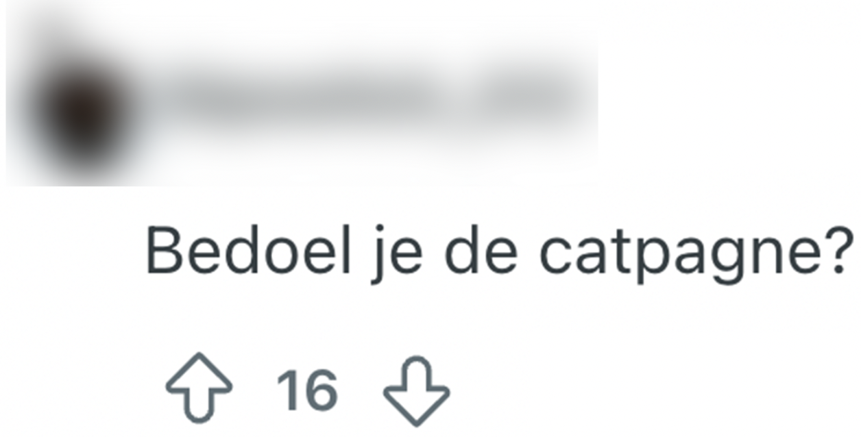 kandidaten