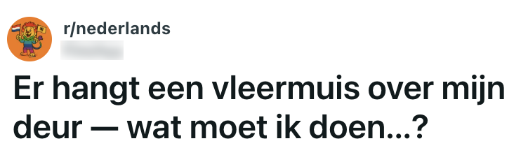 vleermuis