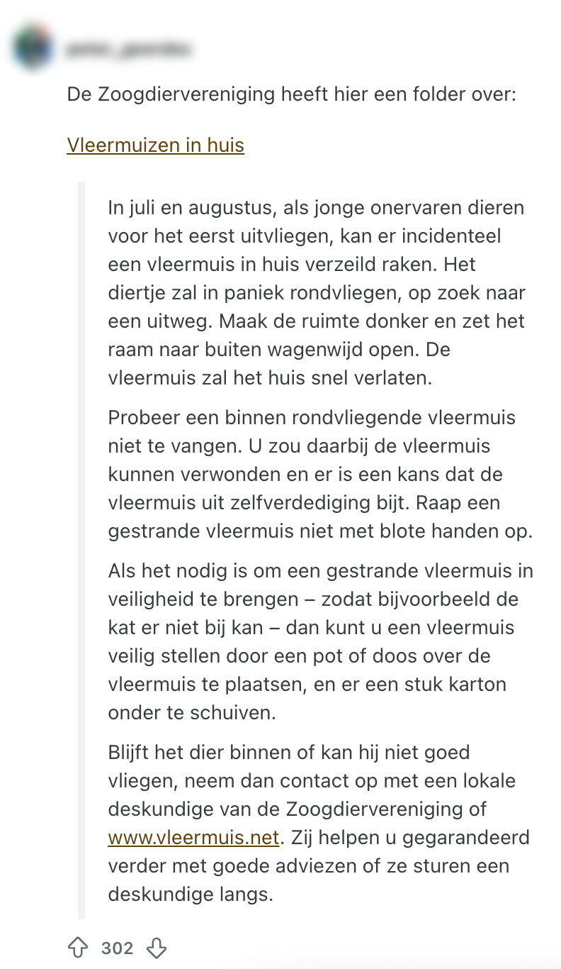 vleermuis