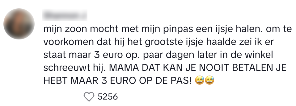 ijsje