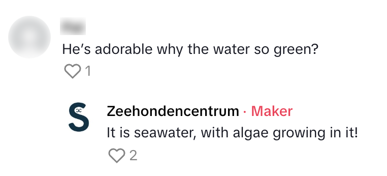 zeehondencentrum