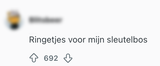 sleutelbos