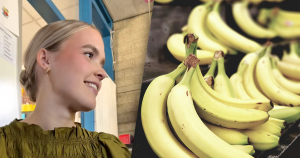 bananen foto