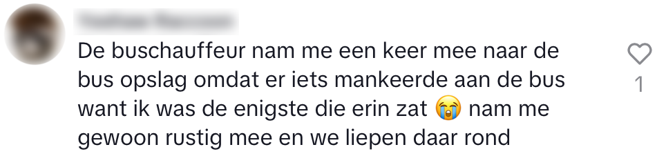 buschauffeur