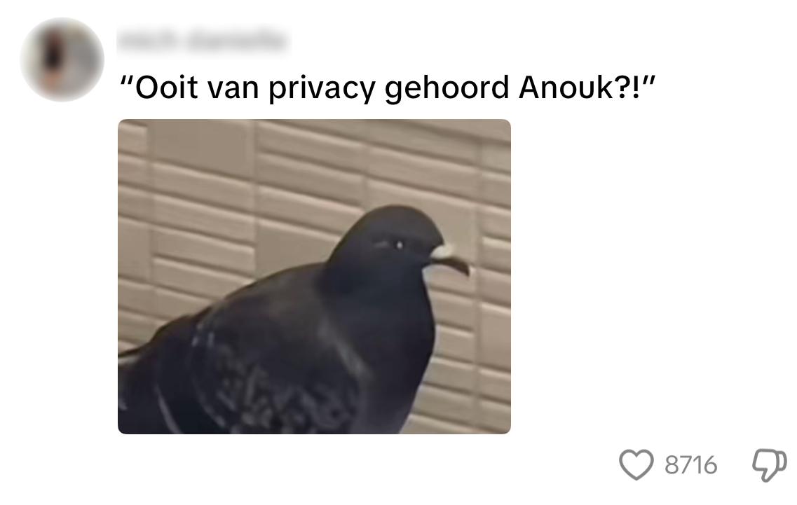 duif