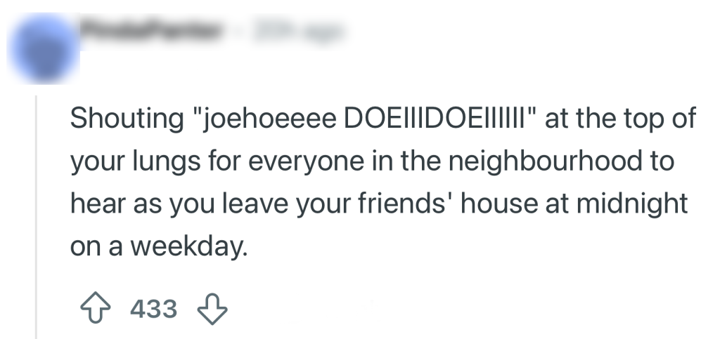 expats typisch nederland