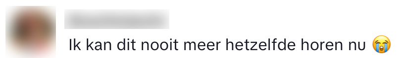 Efteling Fata Morgana uitspraak ontdekking