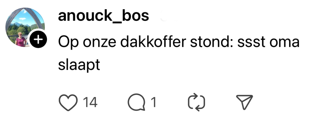 bestuurder