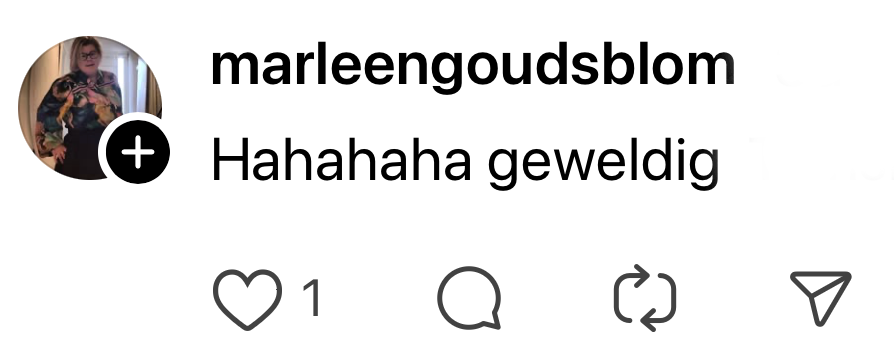 bestuurder tekst