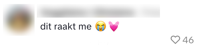 albert heijn mini's spaaractie